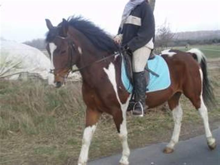 Anden særlig race tarzan er desvere død - her er jeg ude og ride billede 5