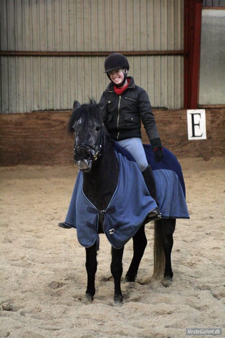 Anden særlig race Macy Grace *solgt* - Vi har det altid sjovt, når du har brandt dit krudt af xD<3 billede 18