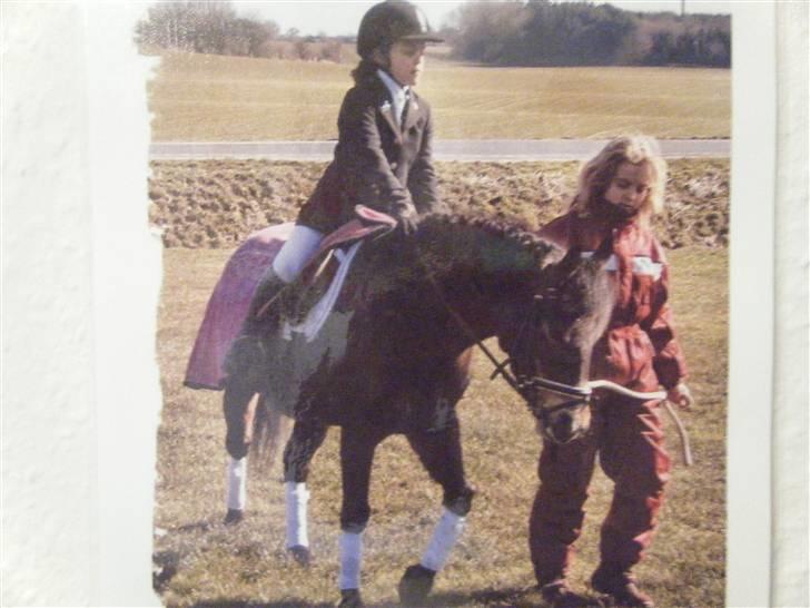 Anden særlig race stjerne (død:'( - wow hun er bare smuk på det billede billede 2