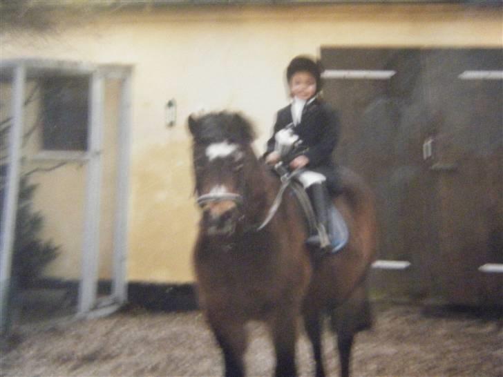 Anden særlig race stjerne (død:'( - vandt klub mesterskab billede 3