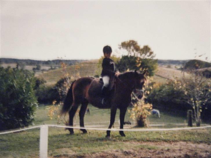 Anden særlig race stjerne (død:'( - nu vil jeg altså snart ikke stå stille mere billede 4