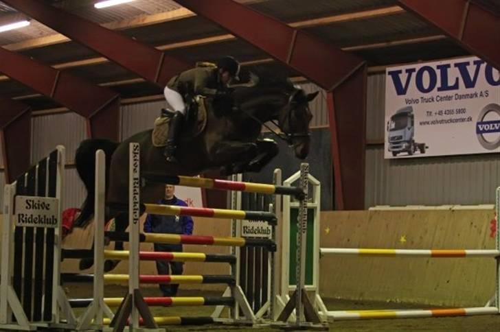 Westfaler MR jones billede 1