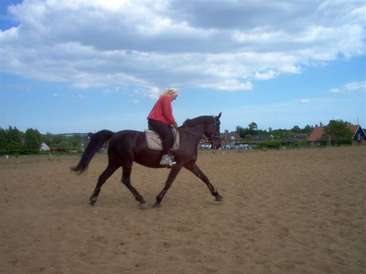 Anden særlig race Miss Shakur billede 9