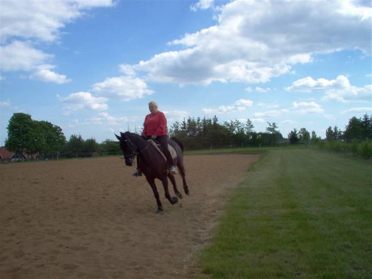 Anden særlig race Miss Shakur billede 11