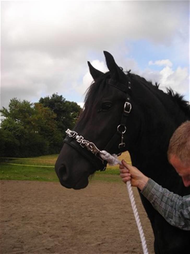 Frieser Picasso (puk foure) - picasso og min papfar .. billede 5