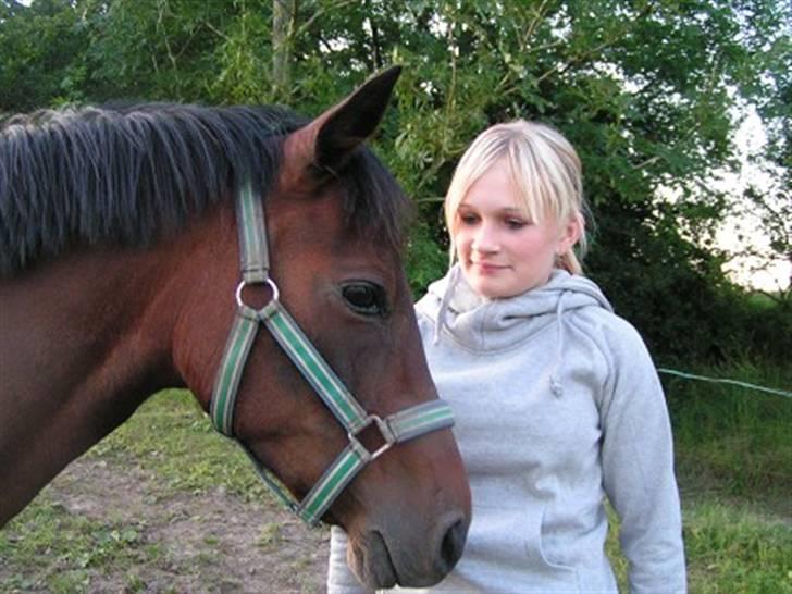 New Forest Beauty   *solgt* billede 18