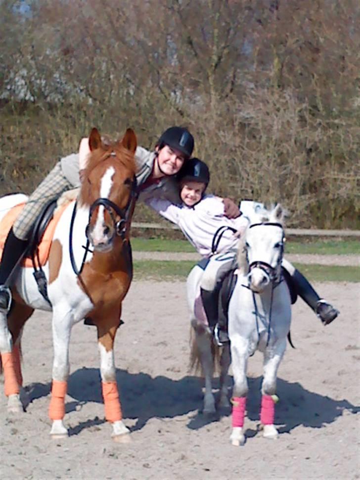 Pinto Bonanza (SOLGT)  - Mig på Bonanza & Nikita på Isabella - Hyggelig ridedag :D billede 6
