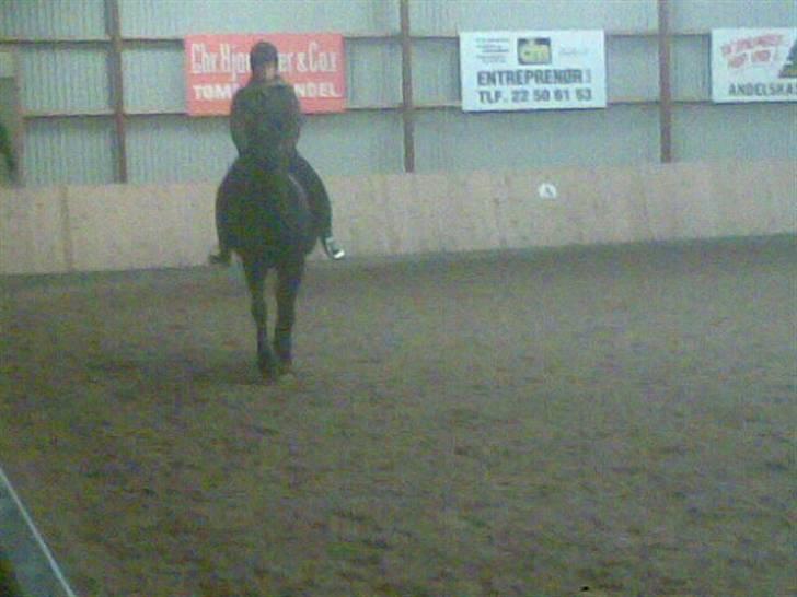 Traver Classic Lady R.I.P :-( - mig og lady igen billede 13