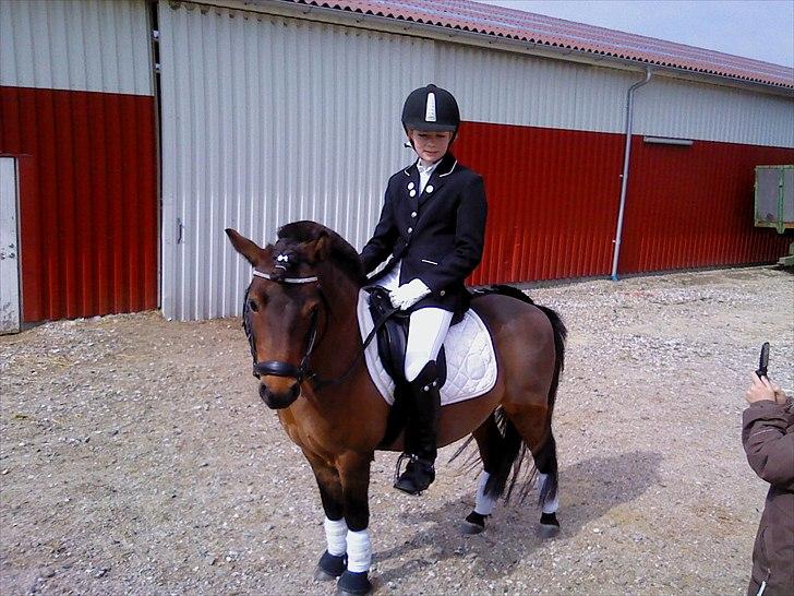 Anden særlig race | MISCHA - Mischa og jeg er klar til at ride ind og score alle point !! billede 19