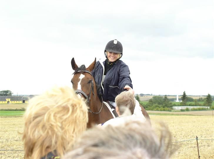 Dansk Varmblod Rolando *Solgt* billede 6