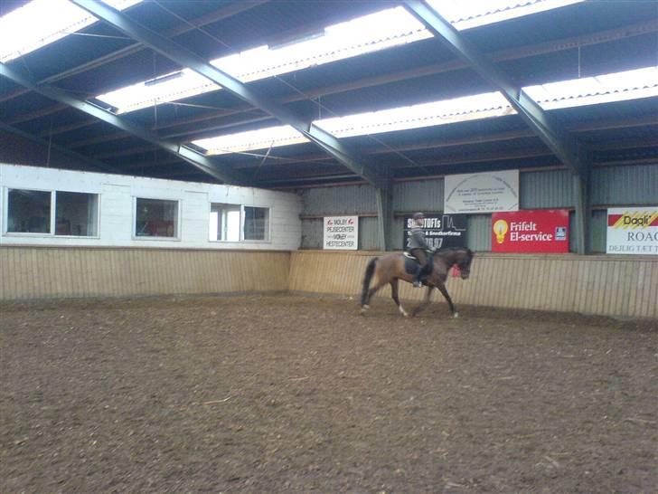 DSP Tarzan SOLGT - søs og tarzan almindelig træning billede 3