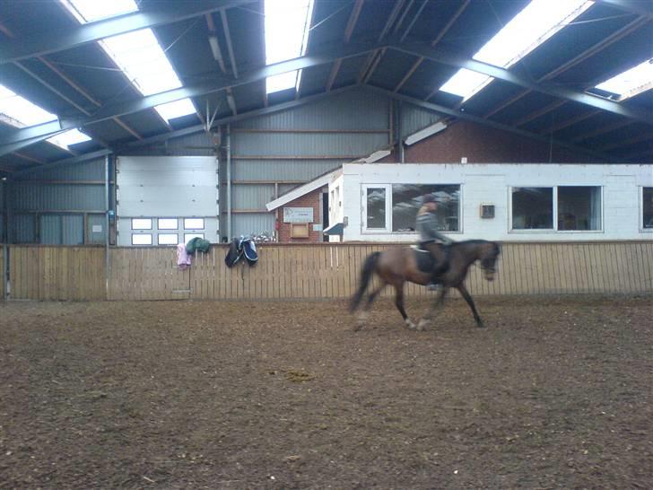 DSP Tarzan SOLGT - Søs og tarzan billede 4