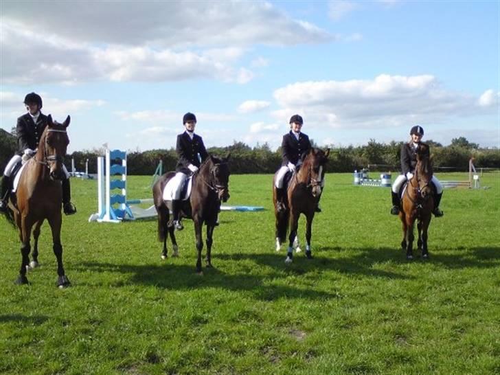 DSP Tarzan SOLGT - ottersbøl cup Senna og Elisa, Mai og Marco, Katrine og Tarzan og Sabine og Bella donna ( flipper ) billede 5