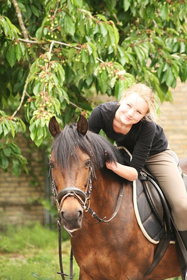 Anden særlig race Bonnie  - Velkommen til bonnies profil, smid en kommentar, vi kigger selvølgelig tilbage. Synes personligt dette er verdens smukkeste pony <3 foto; Maria billede 1