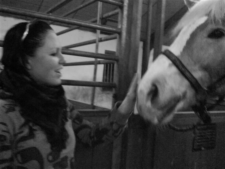 Haflinger Altjo *har redet*  - Du stoler på mig - og jeg på dig <3 billede 15