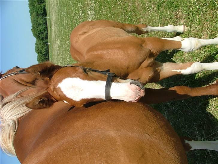 Holstener Jazz Dance billede 3