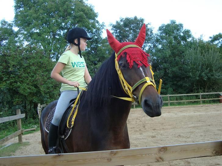 Oldenborg Jasmin - 3)  Jasse elsker at se dum ud XD  billede 3