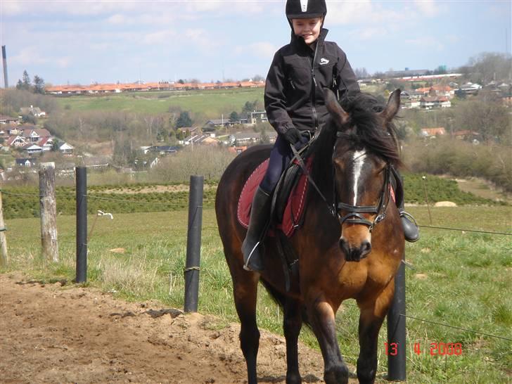 Oldenborg Jasmin - 6) Lille pige & Stor hest ♥ billede 6