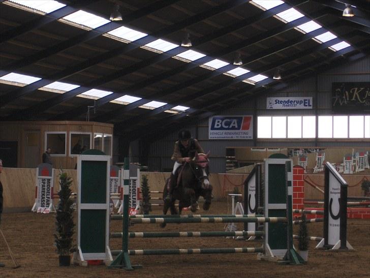 Tysk Sportspony Frenki  - C-stævne i Hedensted 2010.04.11 billede 6