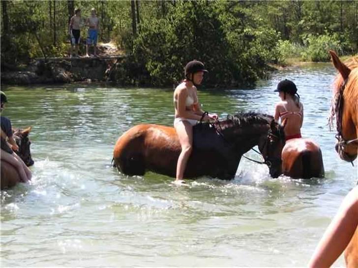Dansk Varmblod Shakira *SOLGT* - Ude at bade på ridelejr, det er bare super :D billede 3
