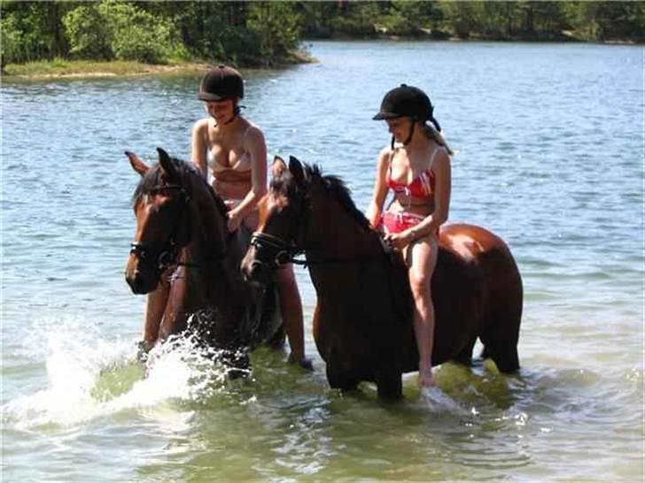 Dansk Varmblod Shakira *SOLGT* - Plasker med vand sammen med stald body.. :P billede 4