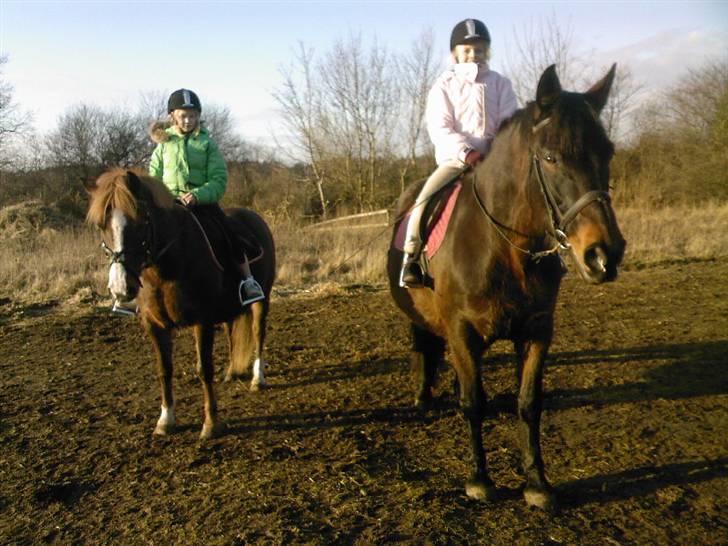 Oldenborg Starlight - Julie og Ditte er ude at ride på Tykke og Krumme :D billede 7