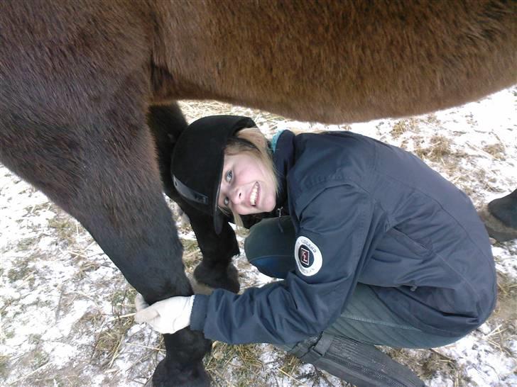 Oldenborg Starlight - Se hvor sikker han er :P billede 4