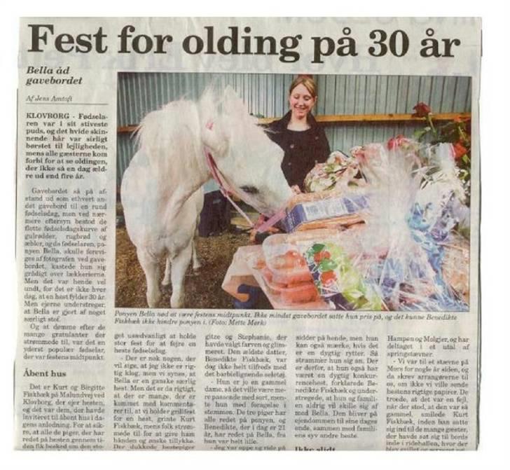 Welsh Mountain (sec A) Bella R.I.P - Min stjerne billede 18