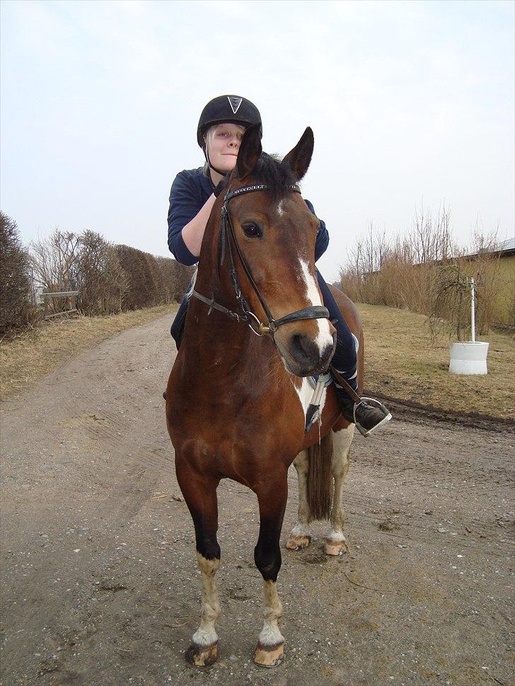 Anden særlig race BOJARD - Bojards sidste dag :´(  billede 3