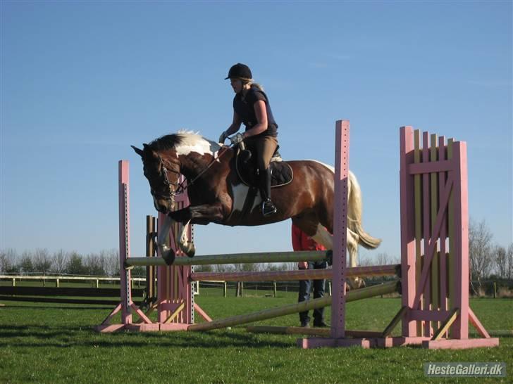 Anden særlig race BOJARD - omg.. ska jeg bare ligne en mongol på alle billeder?? d: Foto: Nana Pabst billede 11