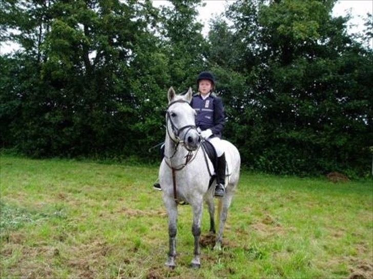 Connemara Frederiksminde Sir Prize - Første springstævne med sofus på midtlolland. billede 3