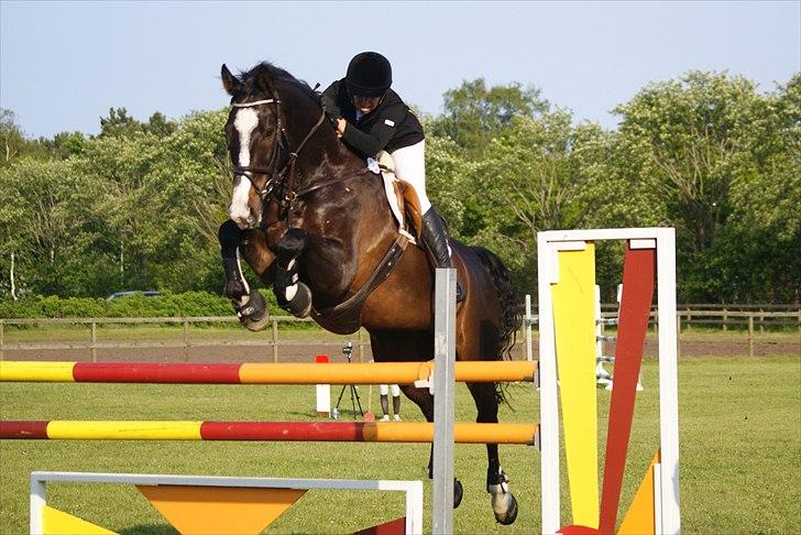 Anden særlig race Elvis (solgt) - Elvis & mig i en 130 cm <3 foto: Tia lundemose billede 13