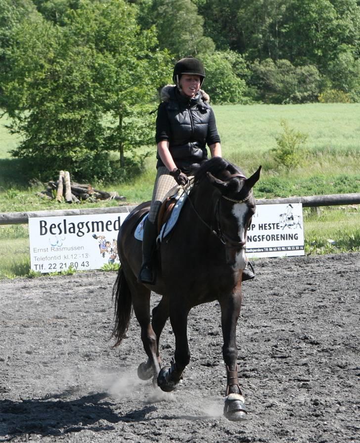 Anden særlig race Elvis (solgt) - Springdressur <3 Taget af Anne Halskov.  billede 15