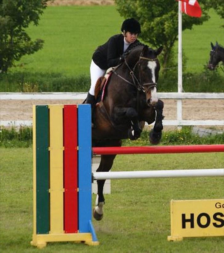 Anden særlig race Elvis (solgt) - distriktsmesterskab 2010 - 3. plads billede 19