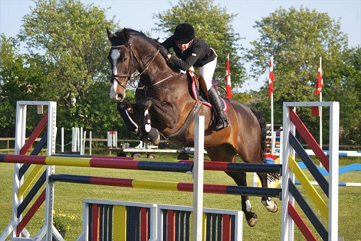 Anden særlig race Elvis (solgt) - Elvis & mig i en 125 cm <3 foto: tia lundemose billede 20