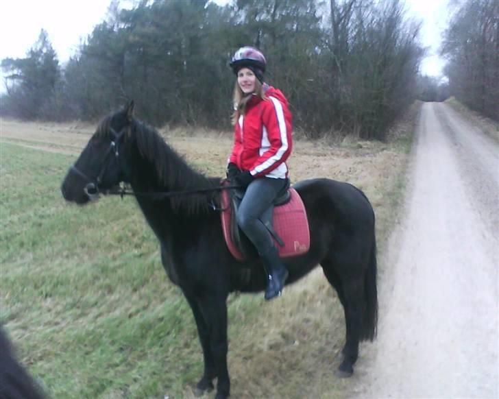 Traver Rolet Bangsbo solgt:'( - mia fik lov at ride på Rolet billede 7