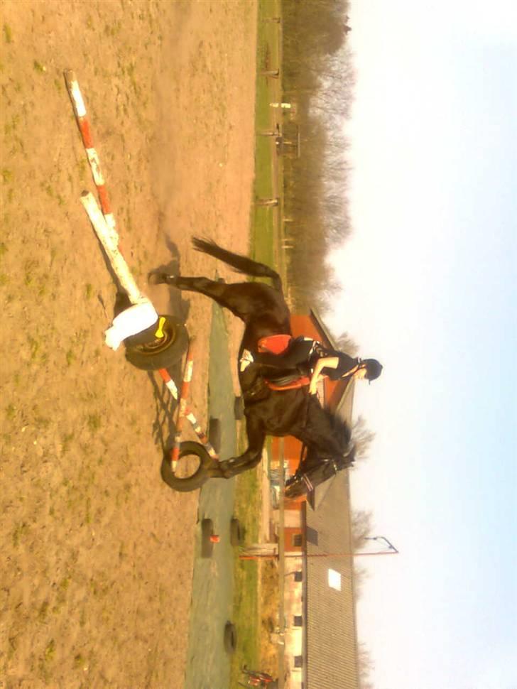 Traver Rolet Bangsbo solgt:'( - Mia og Rolet billede 8