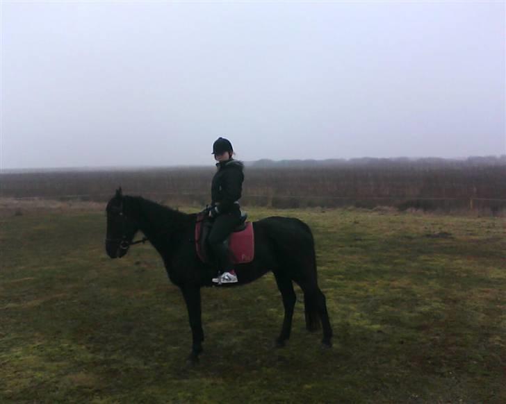 Traver Rolet Bangsbo solgt:'( - mig og rolet billede 9