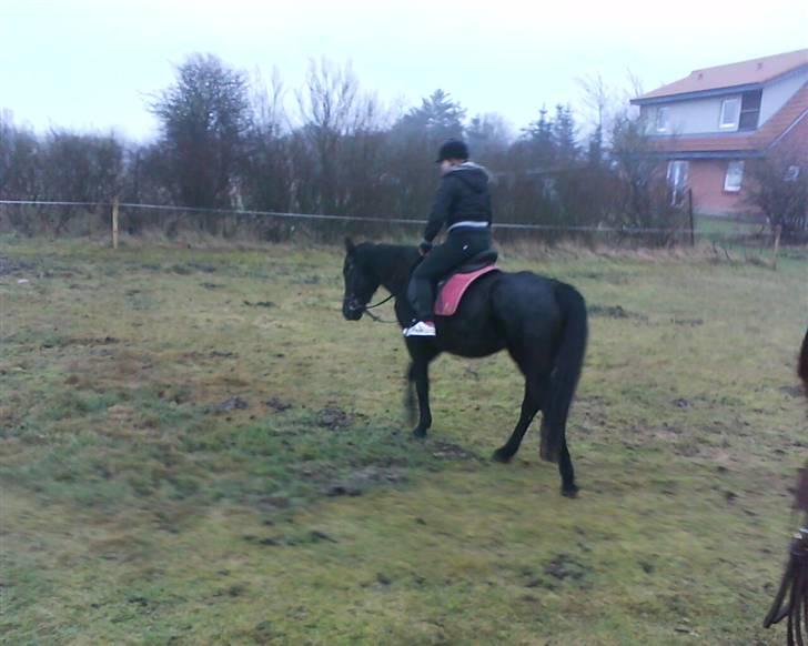 Traver Rolet Bangsbo solgt:'( - mig der skriter rolet af billede 11