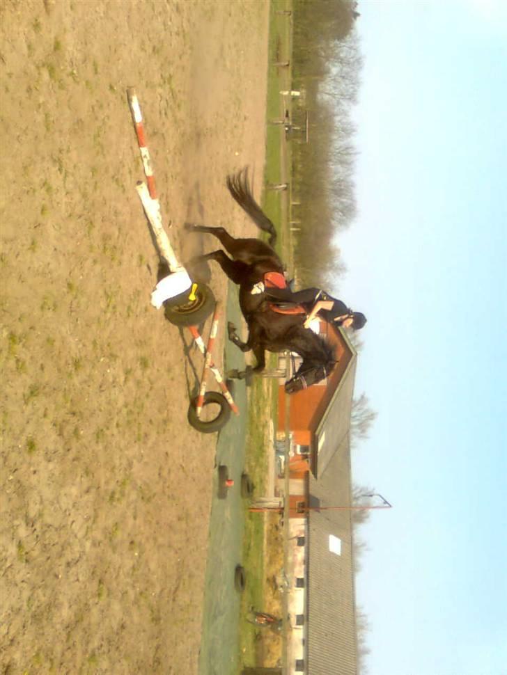 Traver Rolet Bangsbo solgt:'( billede 12