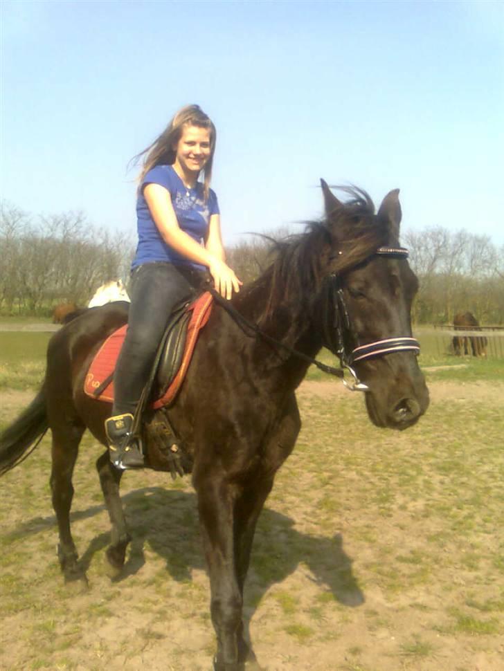 Traver Rolet Bangsbo solgt:'( - mia skritede lidt på hende billede 13