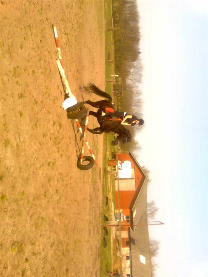 Traver Rolet Bangsbo solgt:'( billede 15