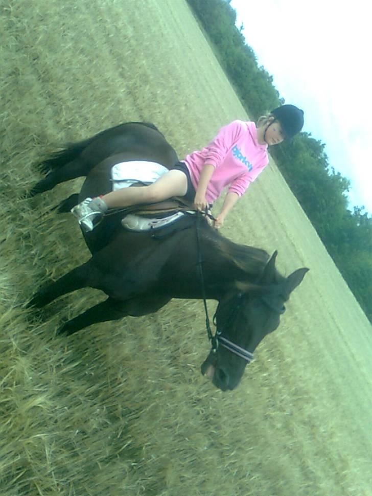 Traver Rolet Bangsbo solgt:'( - hende kønne hovede billede 16