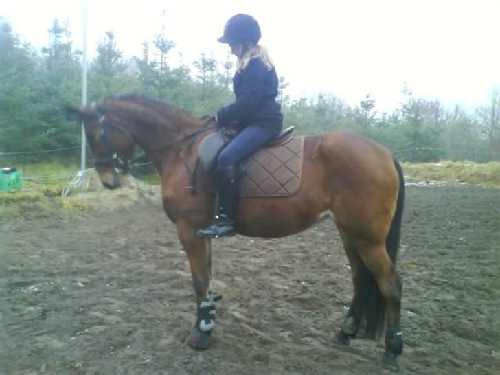 Traver Hera Waltz (SOLGT) - charlote igen billede 15