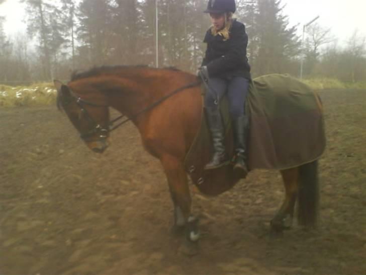 Traver Hera Waltz (SOLGT) - charlotte og hera billede 17