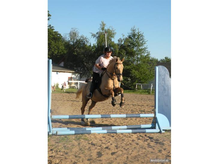 {{currentPhoto.altText}} billede {{currentPhoto.number}}