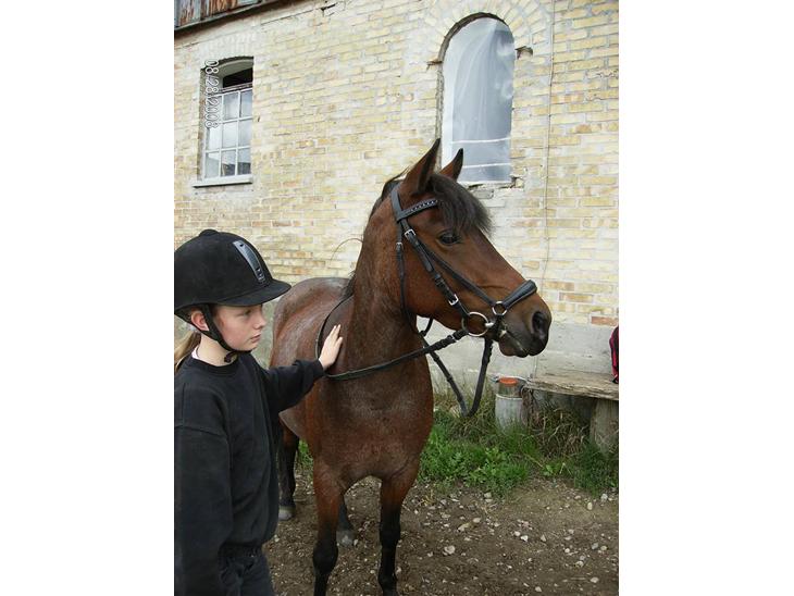 {{currentPhoto.altText}} billede {{currentPhoto.number}}