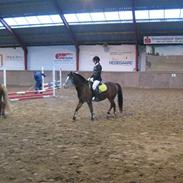 DSP Siverholm`s Thais