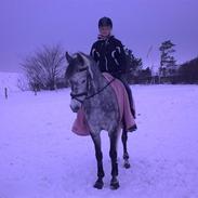 Anden særlig race Stjerne<3