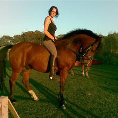 Anden særlig race Joachim  - solgt :(-